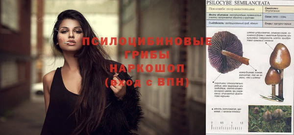 молекула духа Ростов