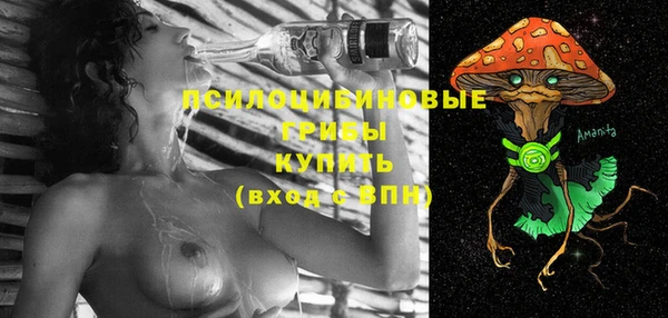 Альфа ПВП Богородицк